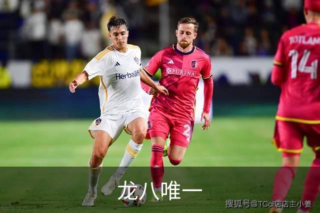 龙八唯一公司简介